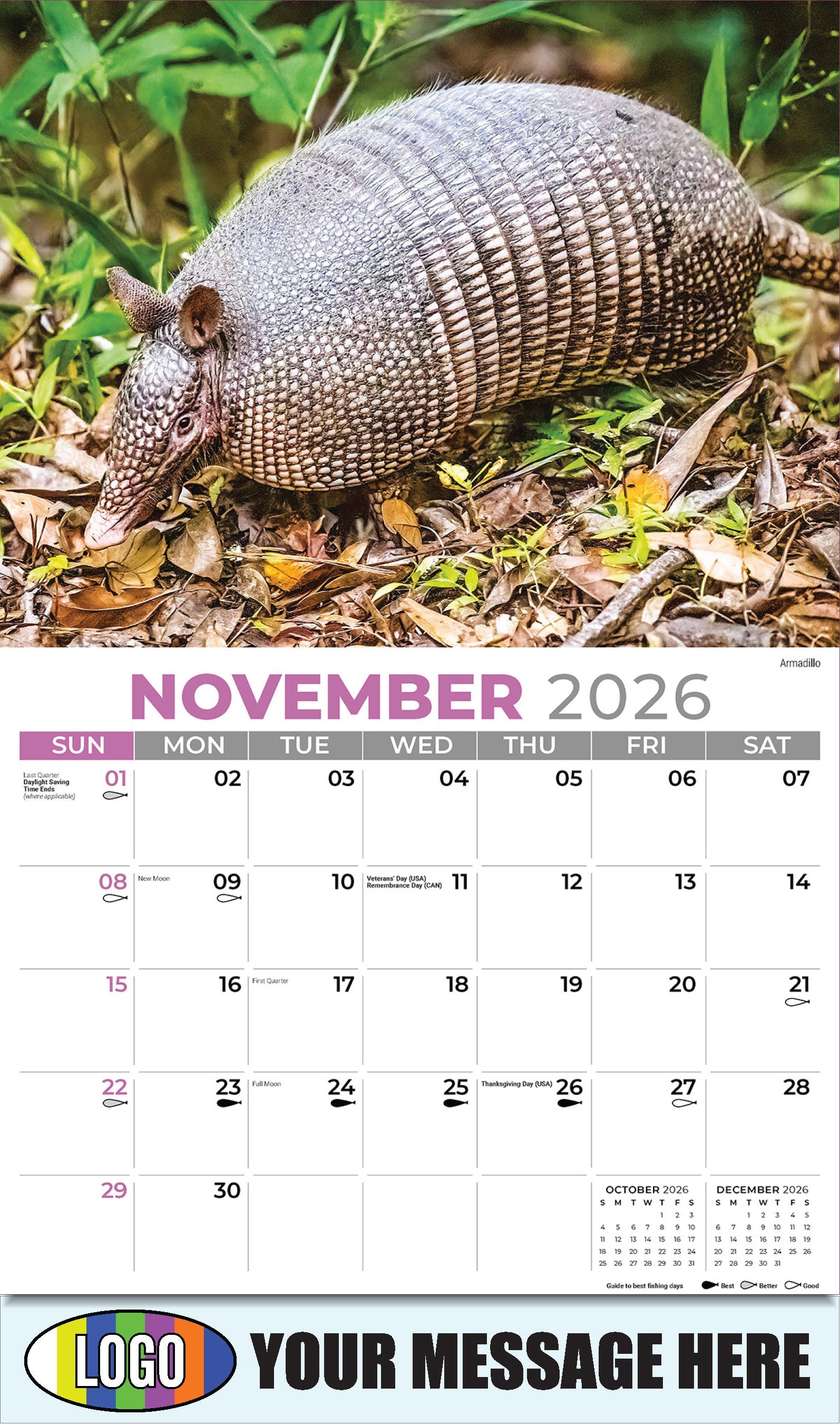 2026 Business Promotion Calendar - North American Wildlife - Armadillo - November