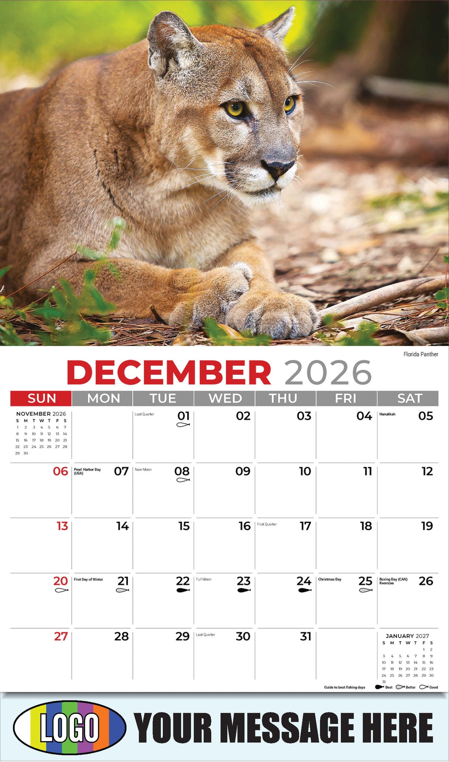 2026 Business Promotion Calendar - North American Wildlife - Florida Panther - December
