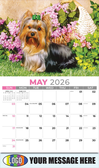 2026 Business Advertising Calendar  - Pets - May