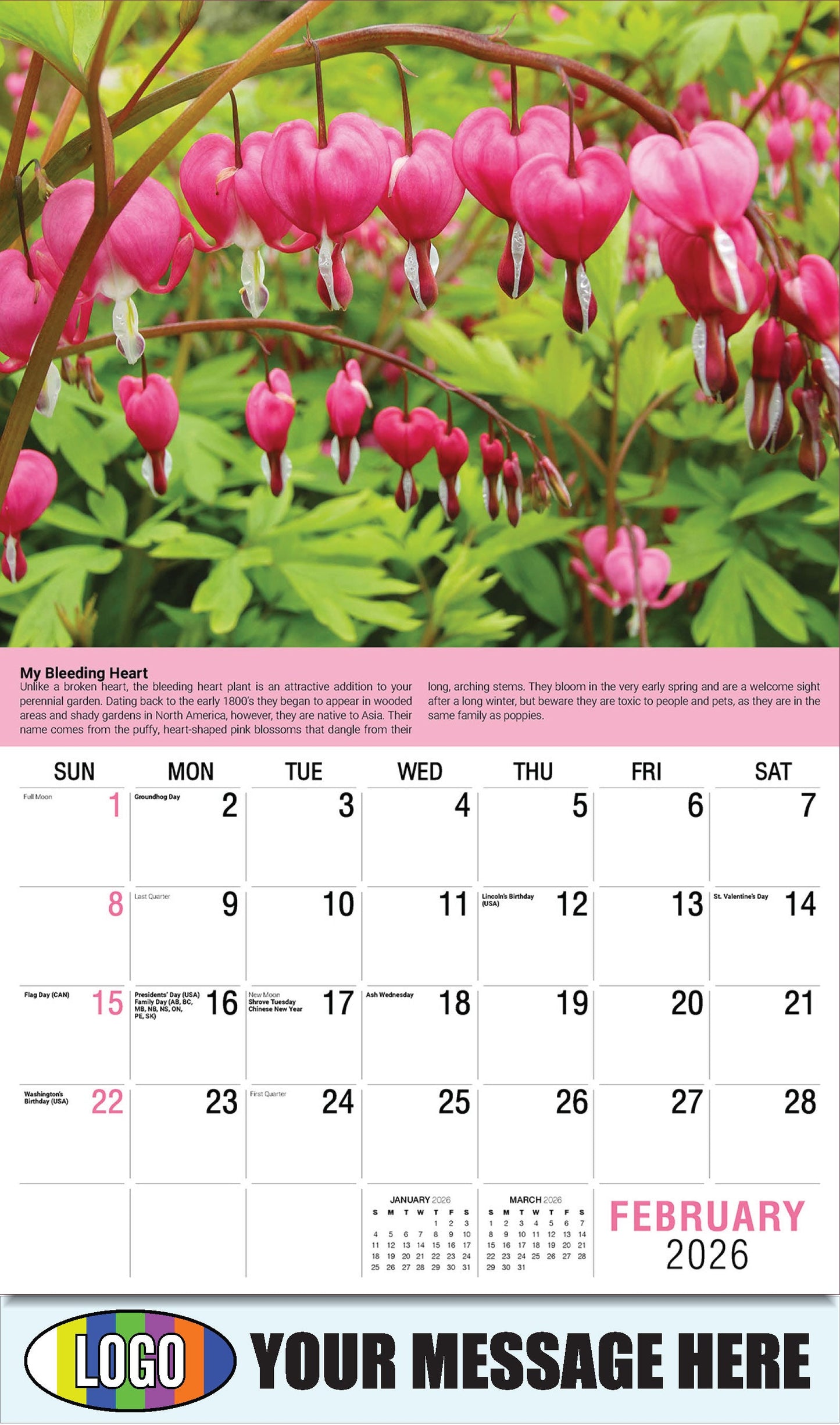 2026 Business Promotional Calendar Planet Earth - February - My Bleeding Heart: