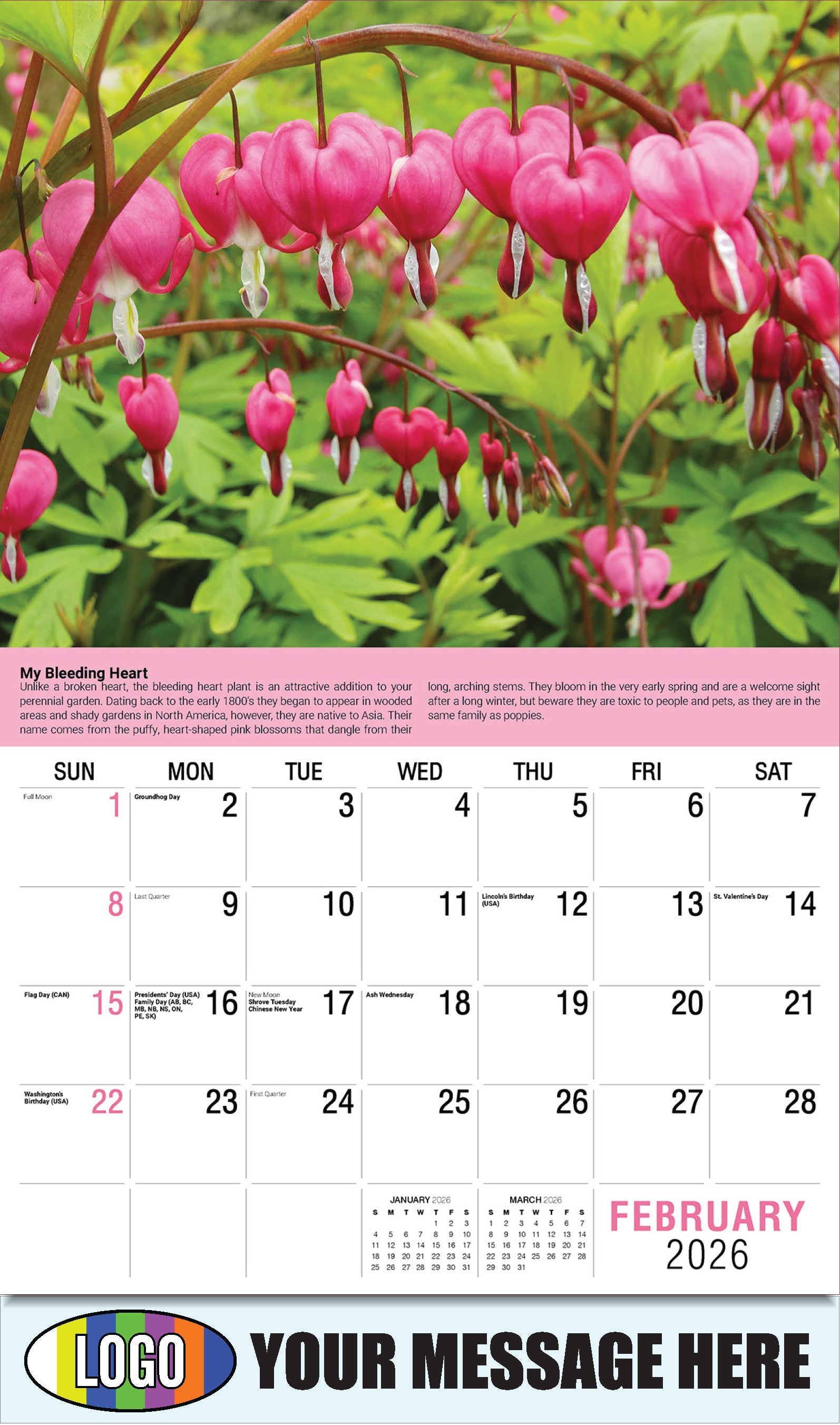 2026 Business Promotional Calendar Planet Earth - February - My Bleeding Heart: