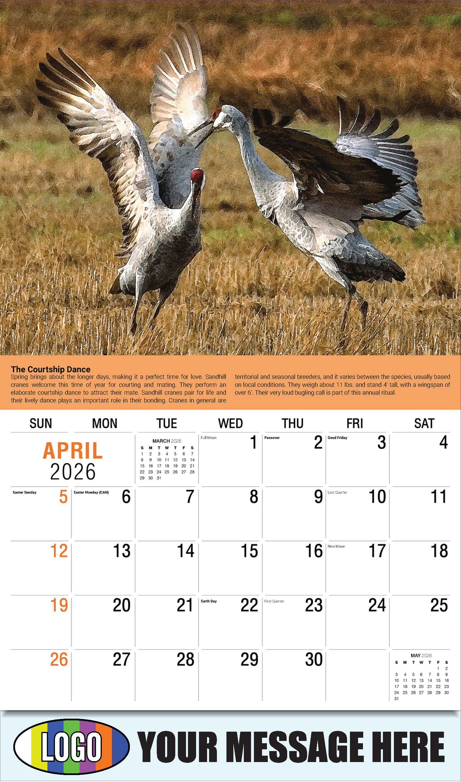 2026 Business Advertising Calendar Planet Earth - April - The Courtship Dance: