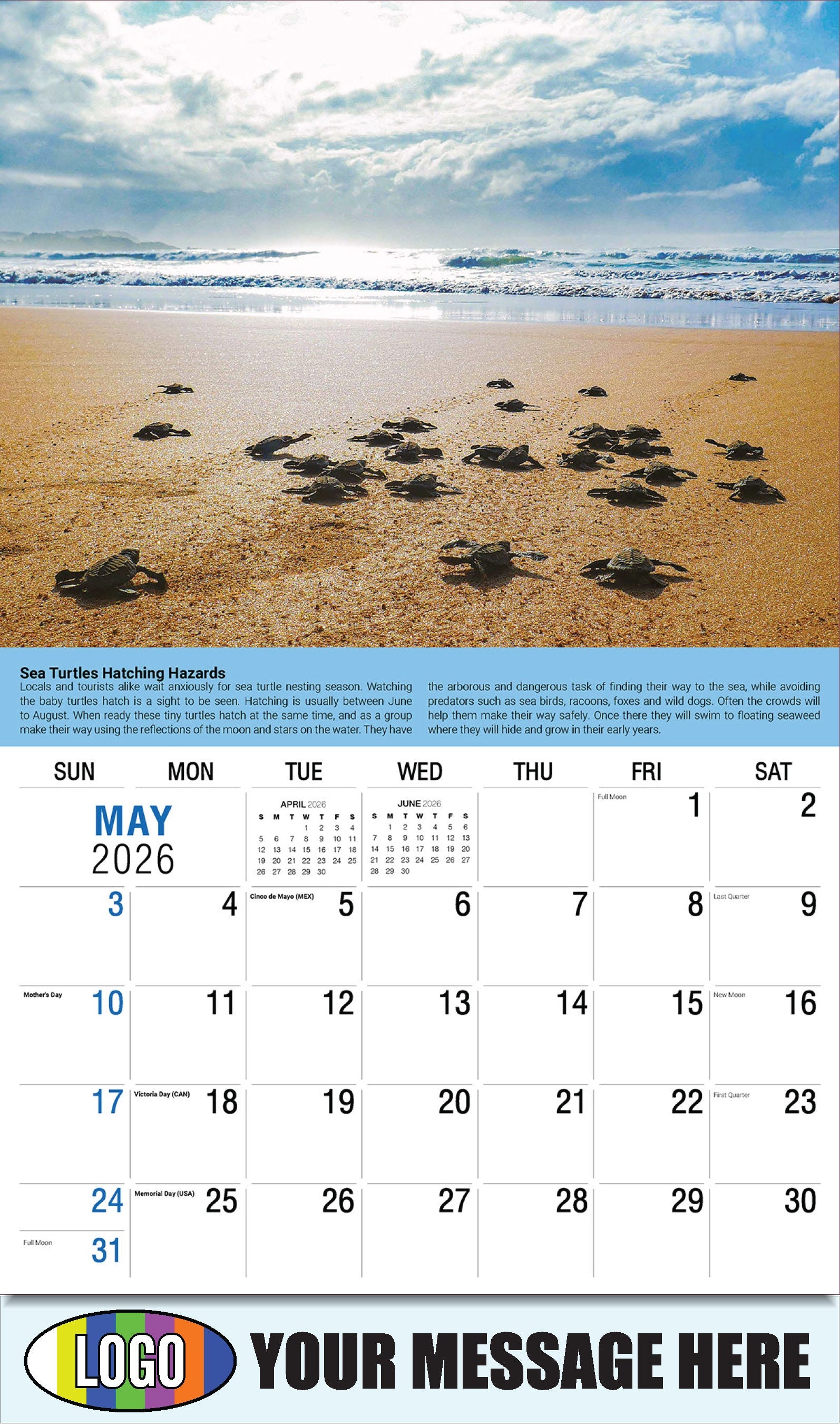 2026 Business Advertising Calendar Planet Earth - May - Sea Turtles Hatching Hazards: