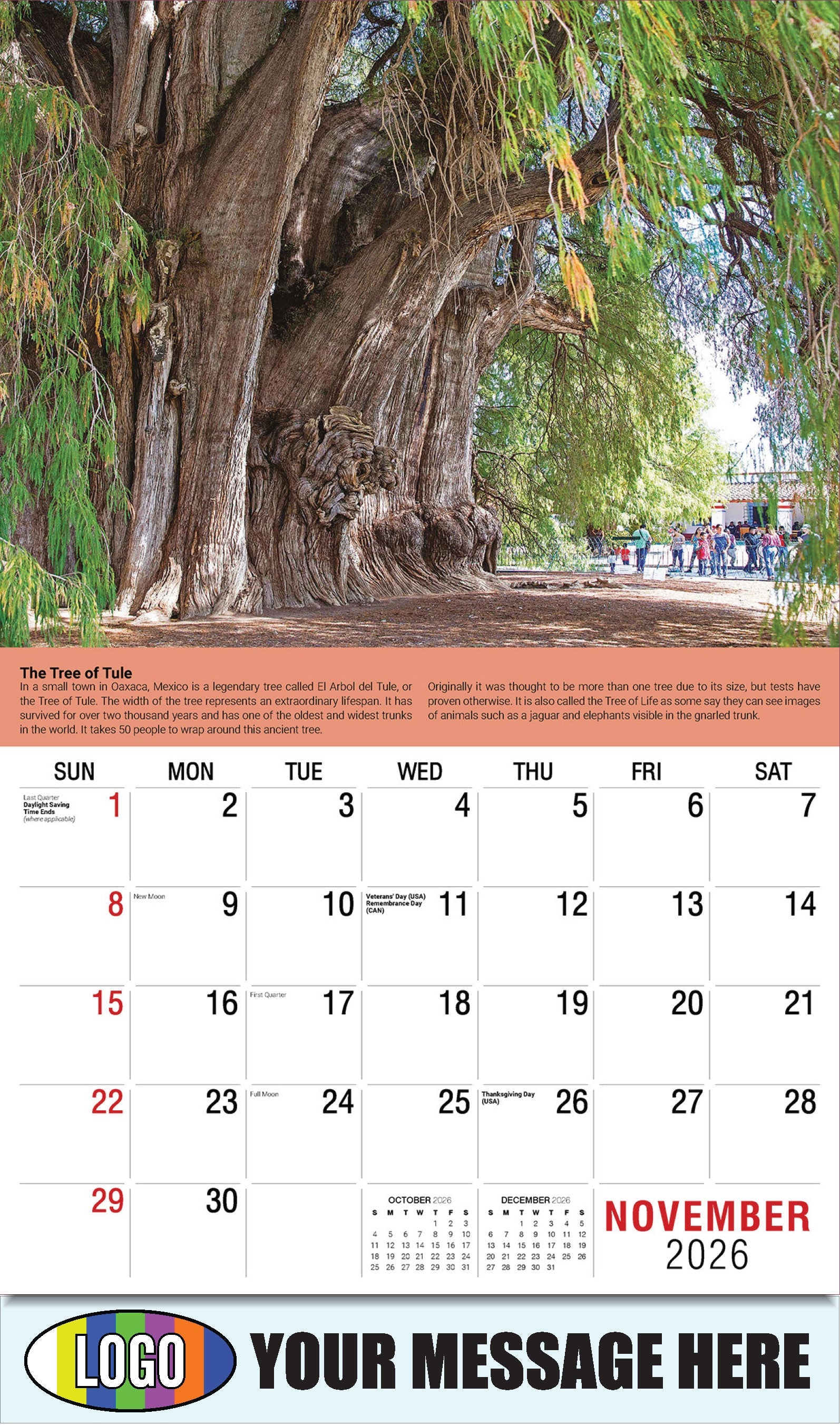 2026 Business Promotion Calendar Planet Earth - November - The Tree of Tule: