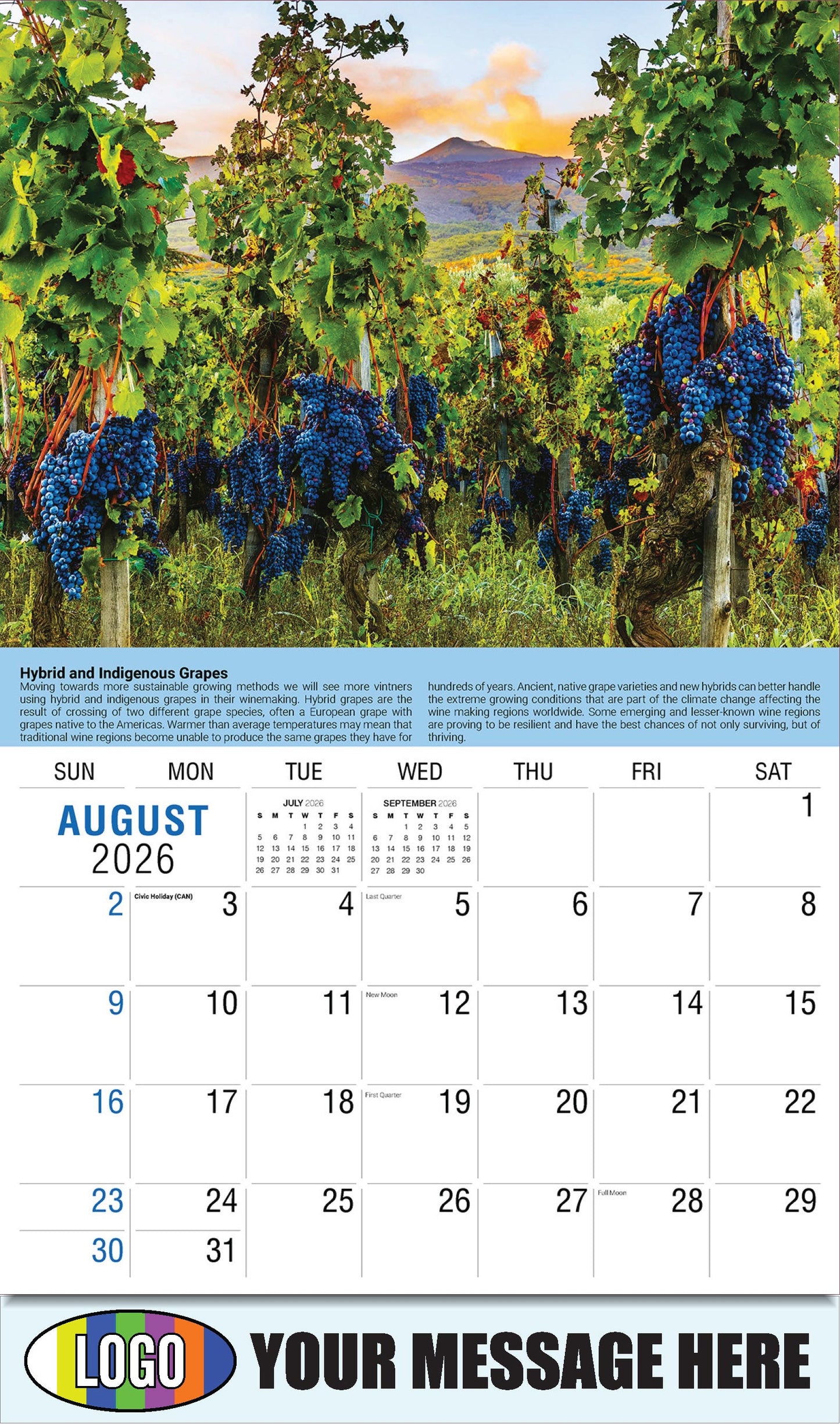 2026 Business Promo Calendar - Vintages: Wine Tips - Hybrid and Indigenous Grapes - August