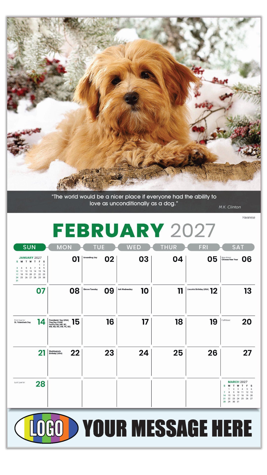 2027 Business Promotional Calendar - Dogs - February - Havanese 