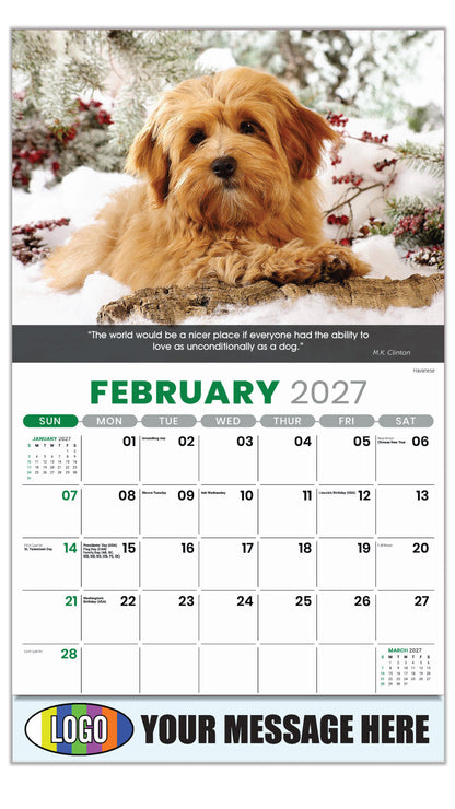 2027 Business Promotional Calendar - Dogs - February - Havanese 