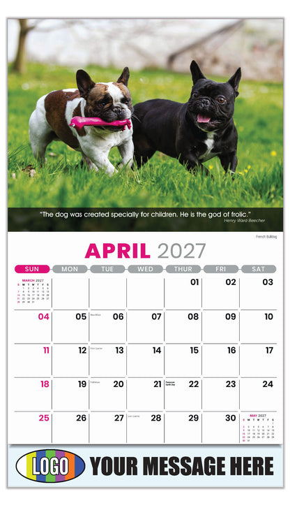 2027 Business Advertising Calendar - Dogs - April -  French Bulldog