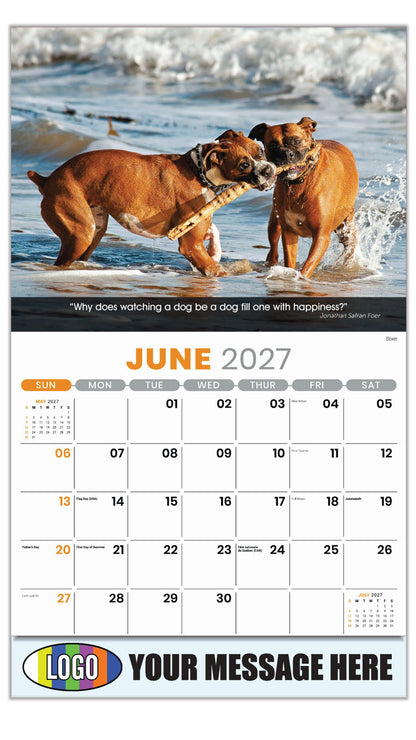 2027 Business Advertising Calendar - Dogs - June - Boxer