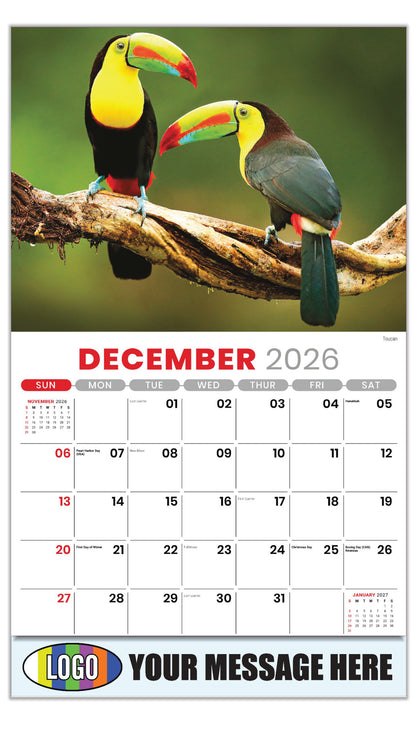 2027 Business Promotional Calendar - International Wildlife - Toucan - December_a