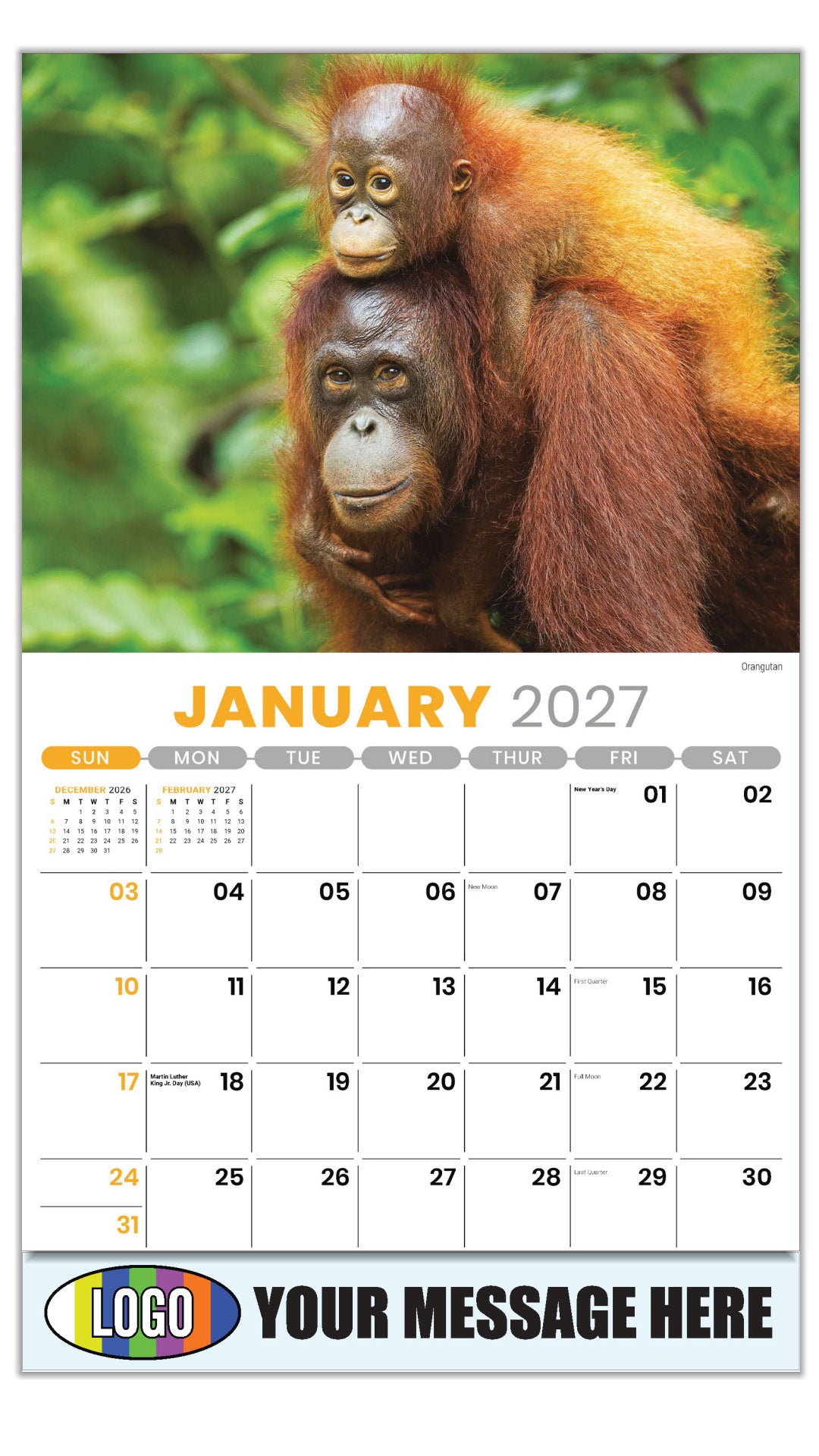 2027 Business Promotional Calendar - International Wildlife - Orangutan - January