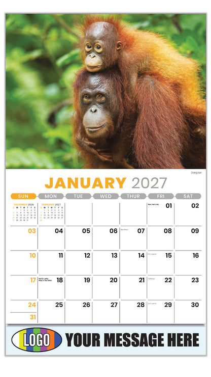2027 Business Promotional Calendar - International Wildlife - Orangutan - January