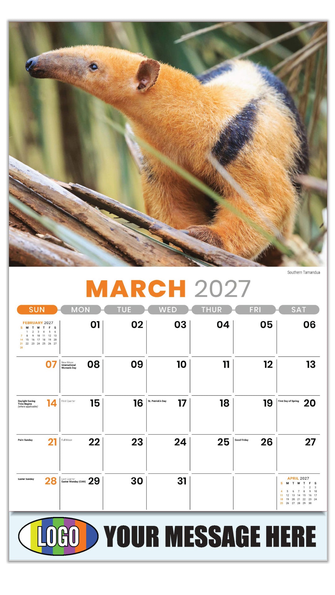 2027 Business Promotional Calendar - International Wildlife - Southern Tamandua - March