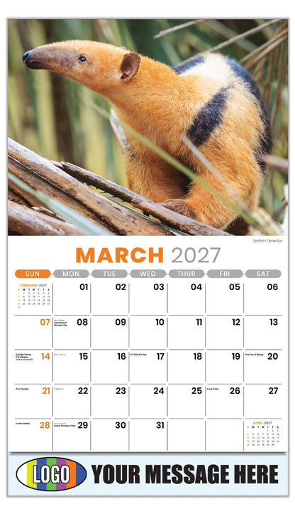 2027 Business Promotional Calendar - International Wildlife - Southern Tamandua - March