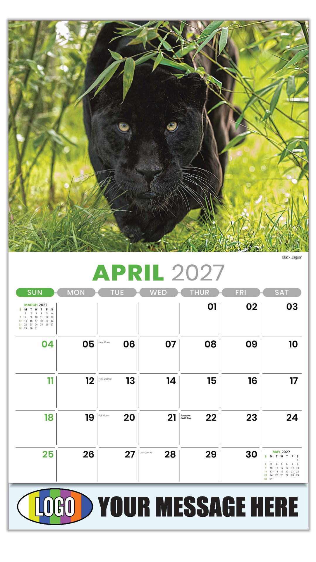 2027 Business Advertising Calendar - International Wildlife - Black Jaguar - April