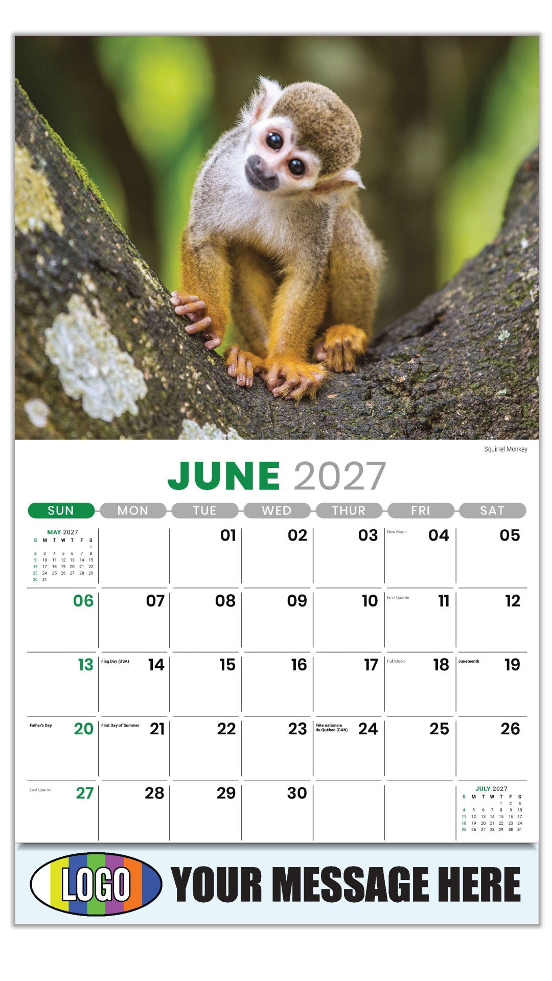2027 Business Advertising Calendar - International Wildlife - Squirrel Monkey - June