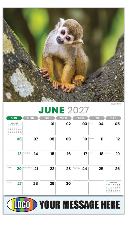 2027 Business Advertising Calendar - International Wildlife - Squirrel Monkey - June