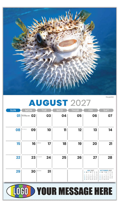 2027 Business Promo Calendar - International Wildlife - Porcupinefish - August