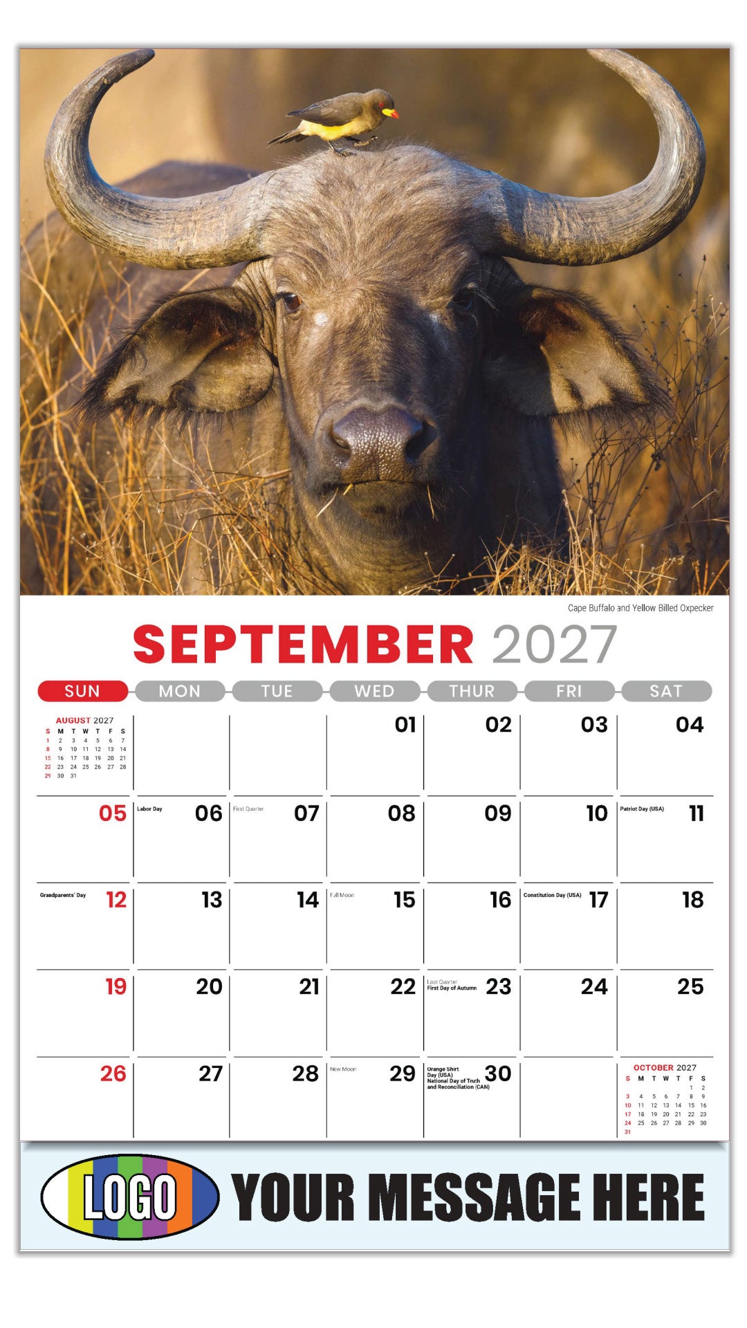 2027 Business Promo Calendar - International Wildlife - Cape Buffalo and Yellow Billed Oxpecker - September
