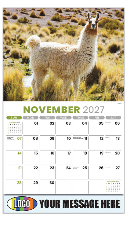 2027 Business Promotion Calendar - International Wildlife - Llama - November