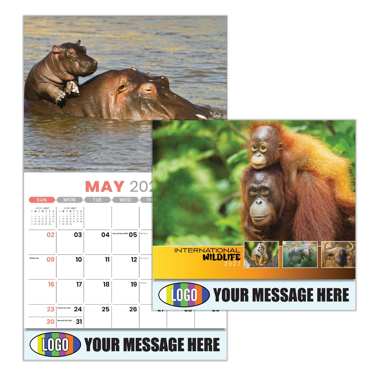 International Wildlife