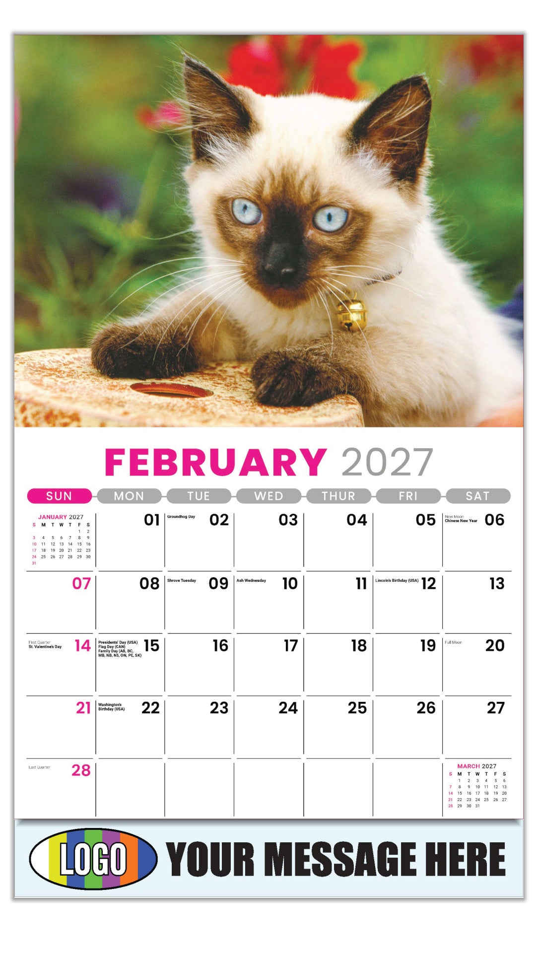 2027 Business Promotional Calendar - Kittens - February