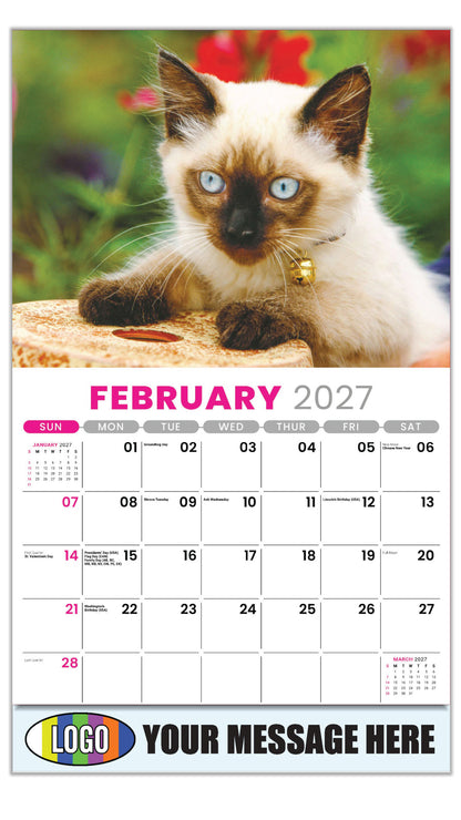 2027 Business Promotional Calendar - Kittens - February