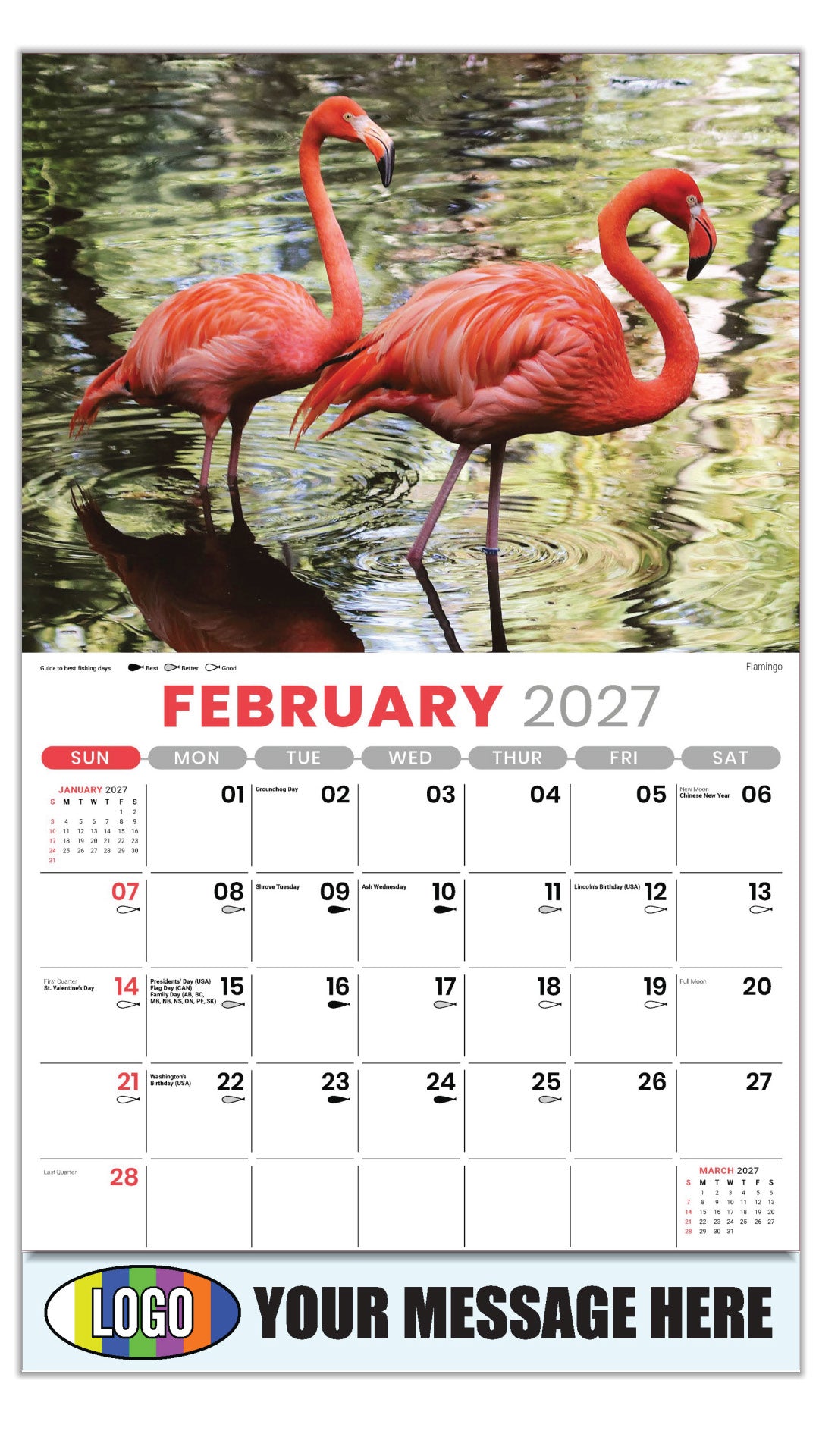 2027 Business Promotional Calendar - North American Wildlife - Flamingo - February