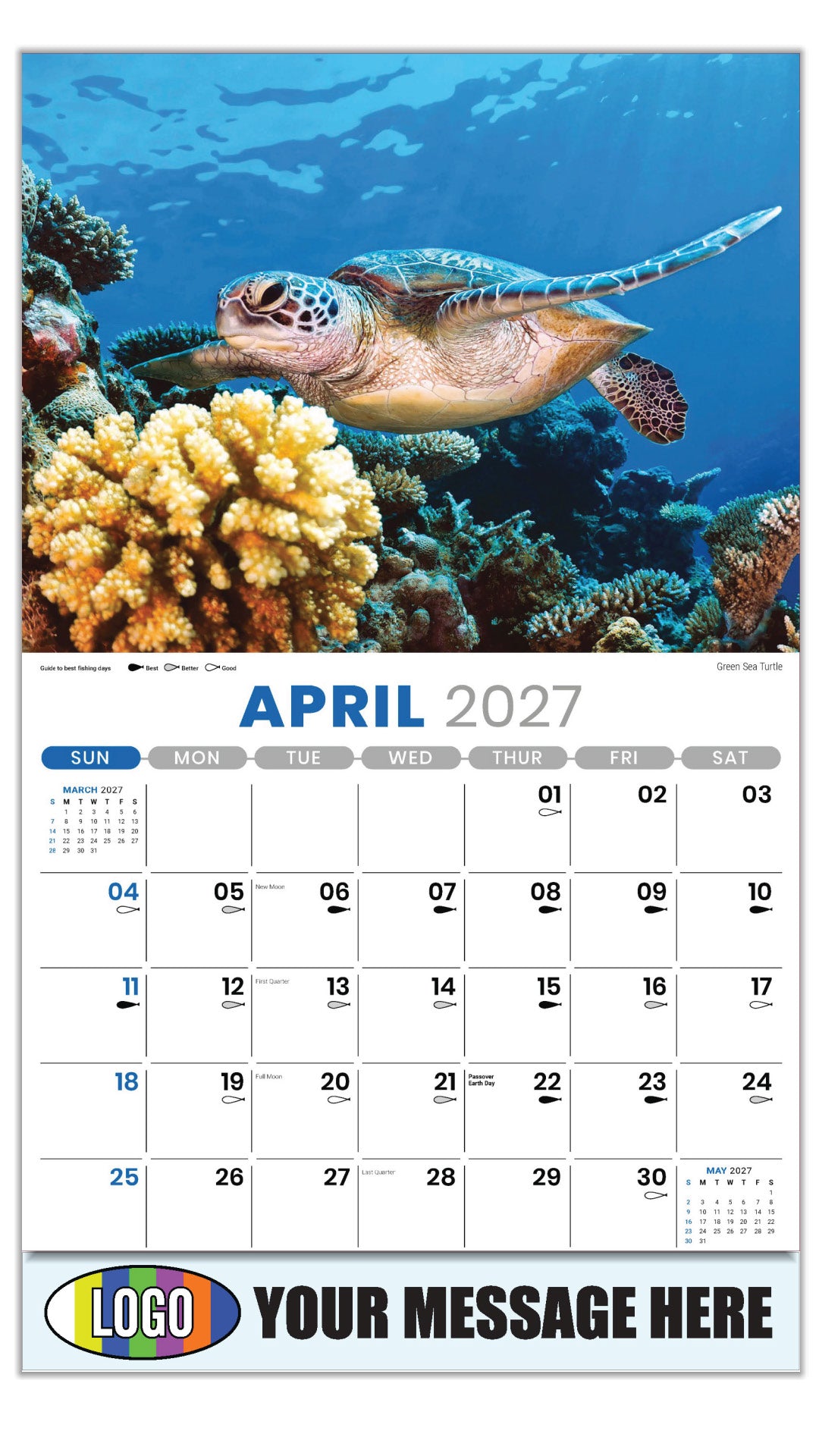 2027 Business Advertising Calendar - North American Wildlife - Green Sea Turtle - April