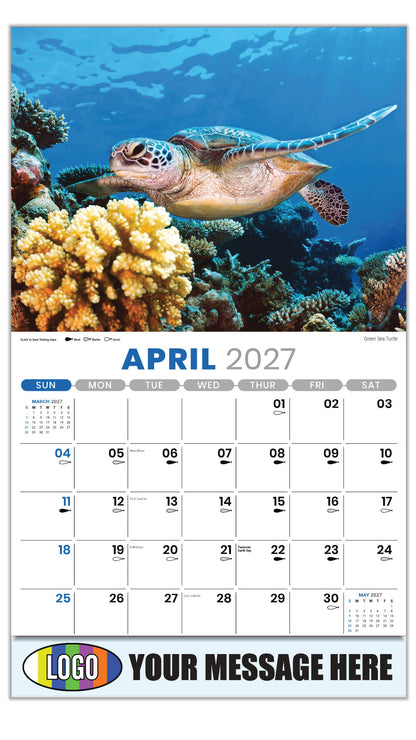 2027 Business Advertising Calendar - North American Wildlife - Green Sea Turtle - April