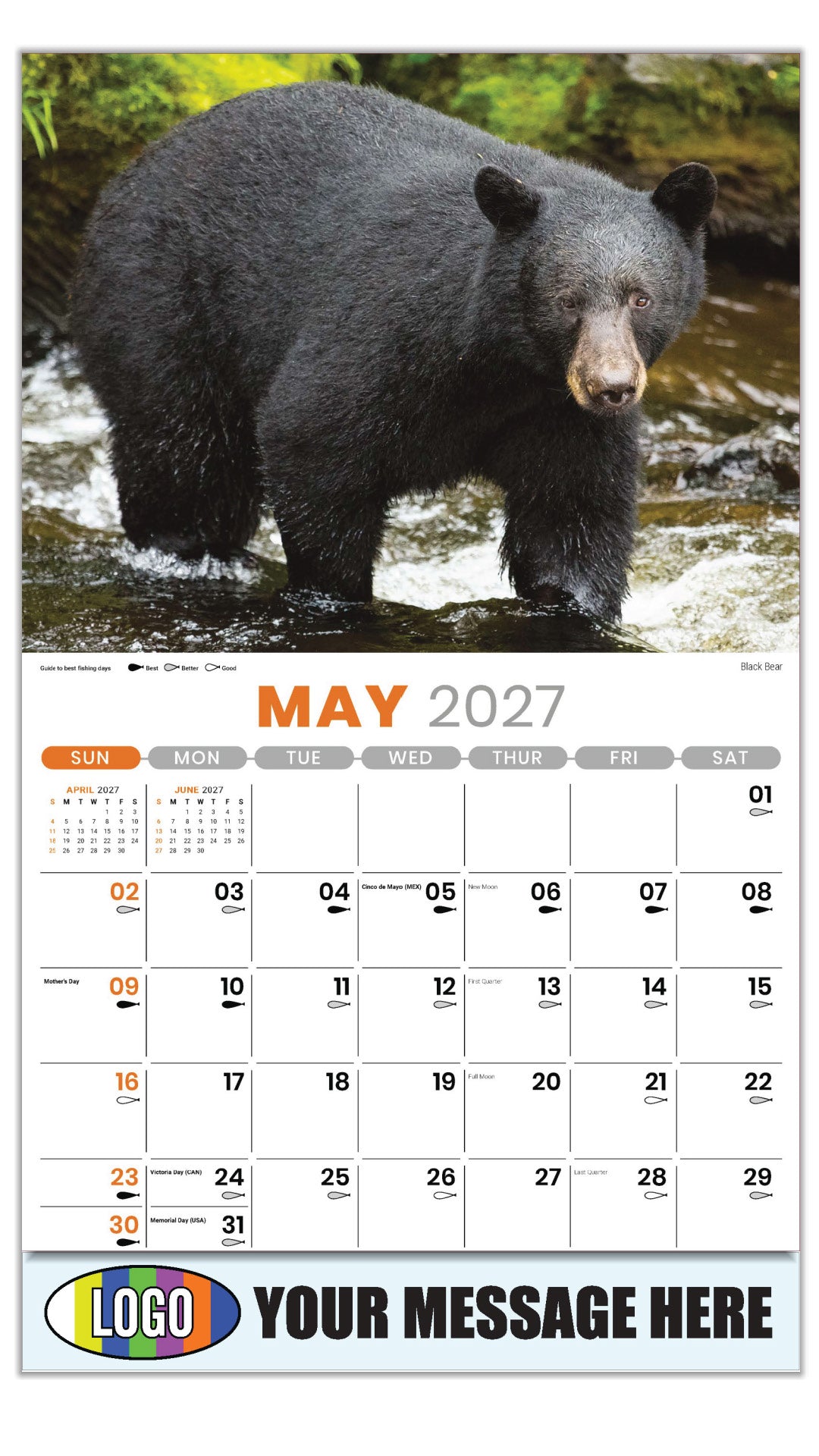 2027 Business Advertising Calendar - North American Wildlife - Black Bear - May