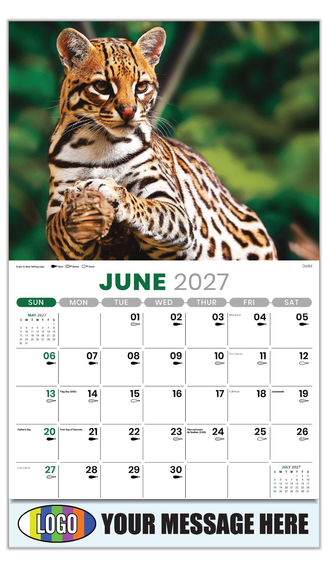 2027 Business Advertising Calendar - North American Wildlife - Ocelot - June