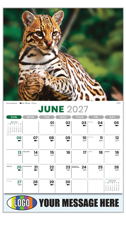 2027 Business Advertising Calendar - North American Wildlife - Ocelot - June