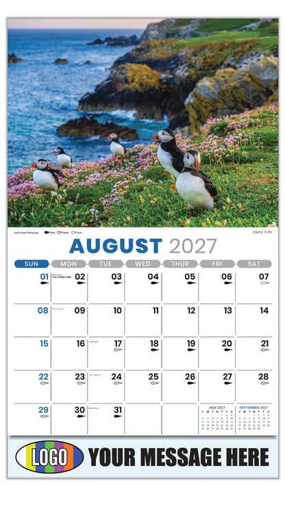 2027 Business Promo Calendar - North American Wildlife - Atlantic Puffin - August