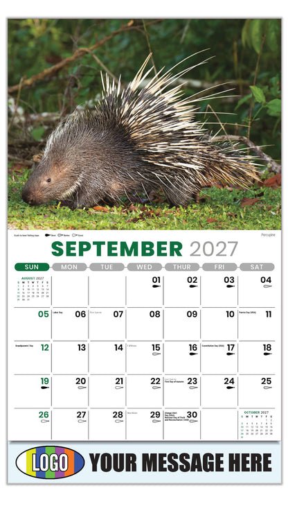 2027 Business Promo Calendar - North American Wildlife - Porcupine - September