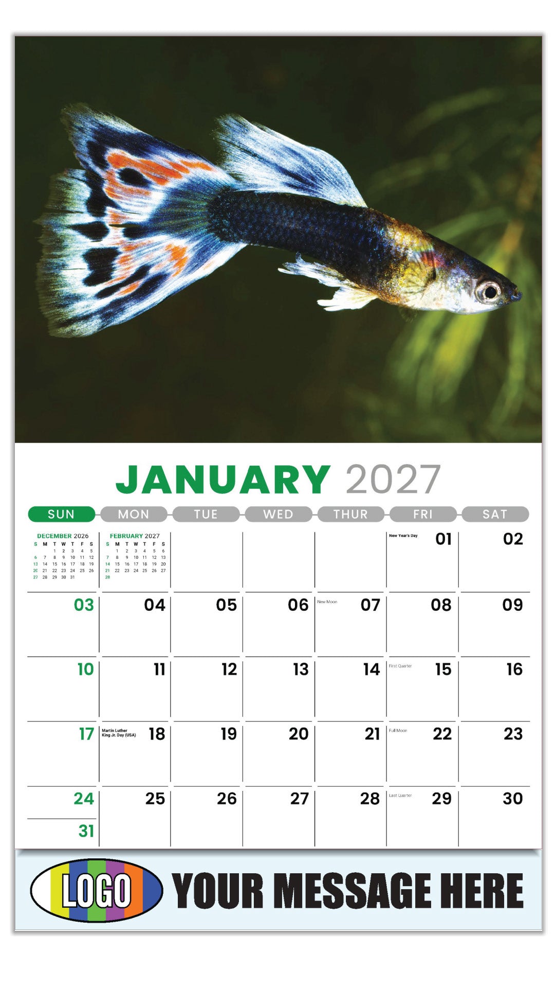 2027 Business Promotional Calendar - Pets - January