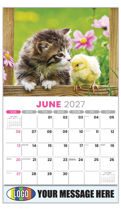 2027 Business Advertising Calendar - Pets - June