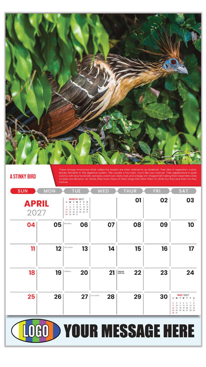 2027 Business Advertising Calendar Planet Earth - April - A Stinky Bird