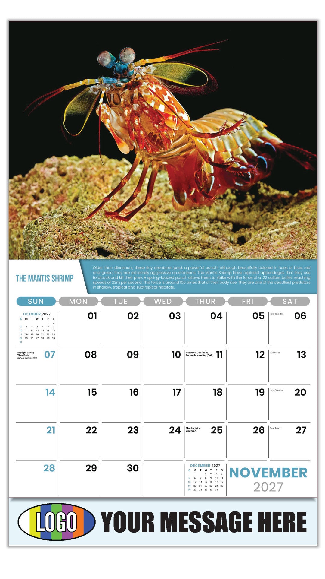 2027 Business Promotion Calendar Planet Earth - November - The Mantis Shrimp