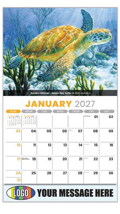 2027 Business Promotional Calendar - Wildlife Art -  Ancient Mariner - Green Sea Turtle by Beth Hoselton - January