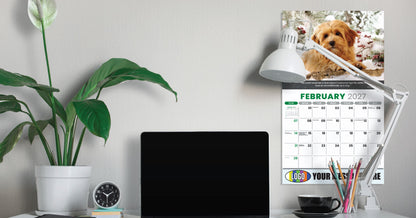 Desk setup with a laptop, calendar, lamp, and plant on a light gray wall background.