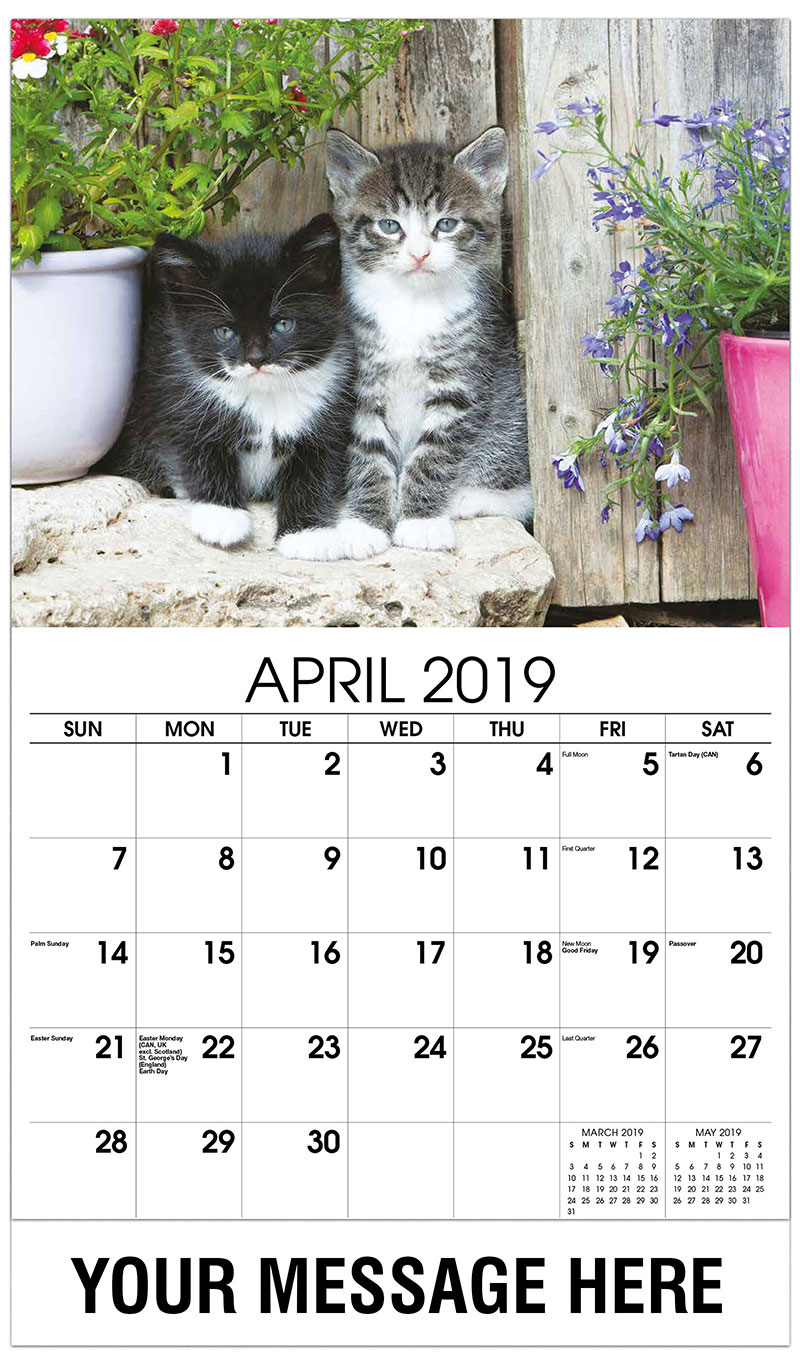 Kittens Promotional Calendar | 65¢ Business Advertising ... Kittens Promotional Calendar | 65¢ Business Advertising ...