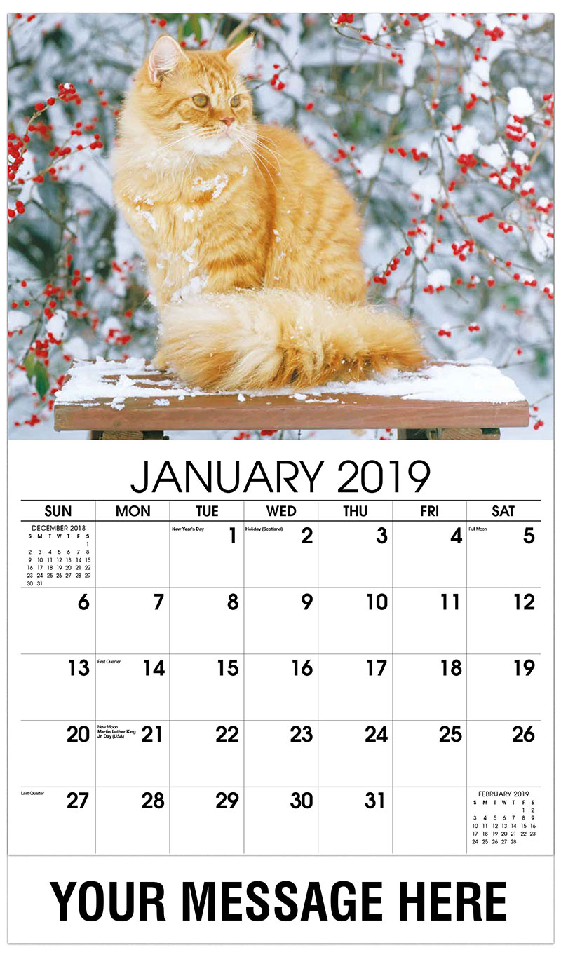 Household Pets and Animals Calendar | 65¢ Promotional ... Household Pets and Animals Calendar | 65¢ Promotional ...