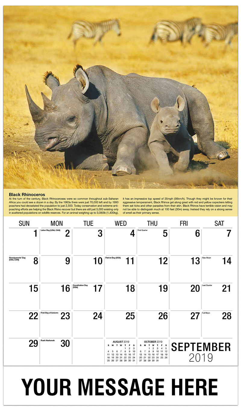 International Wildlife Business Promo Calendar  65 