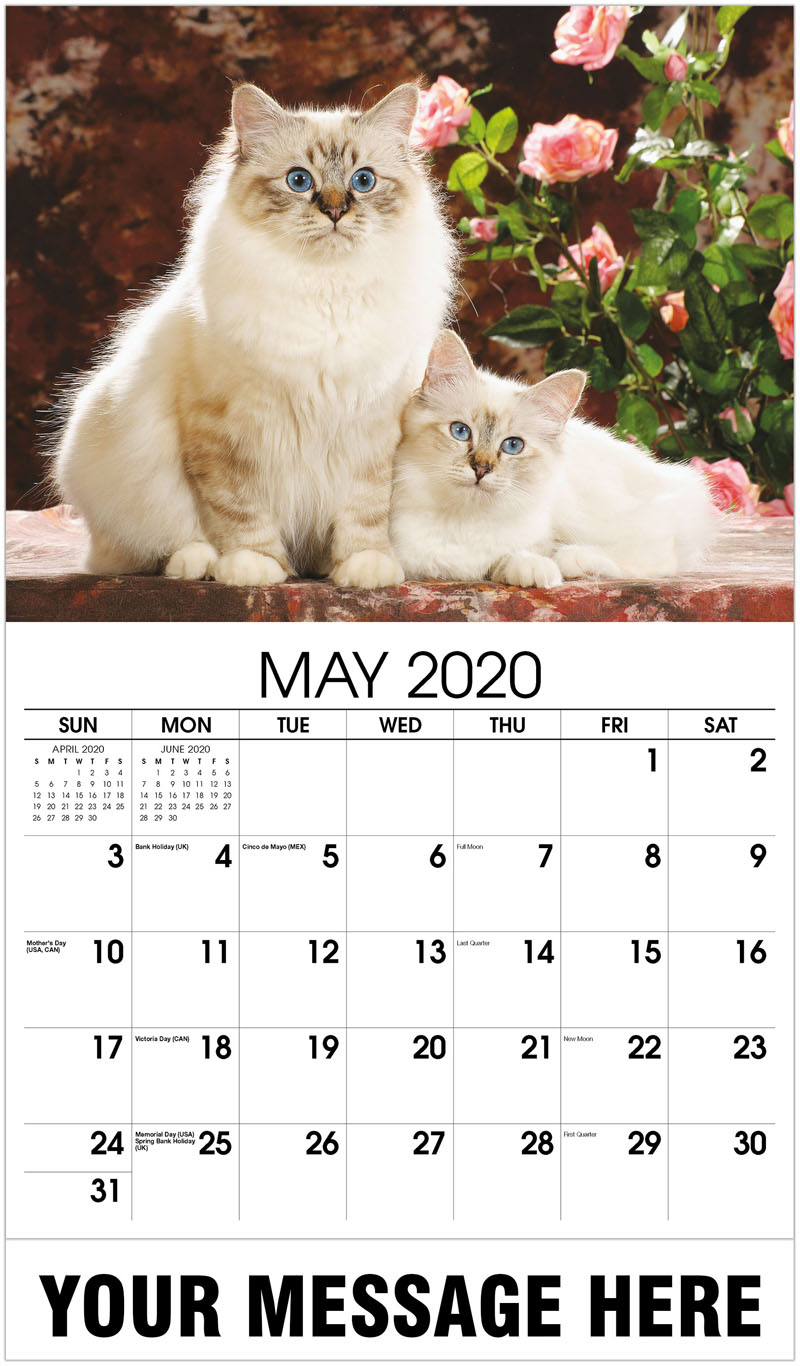 2020 promotional calendar household pets and animals personal calendars 2020