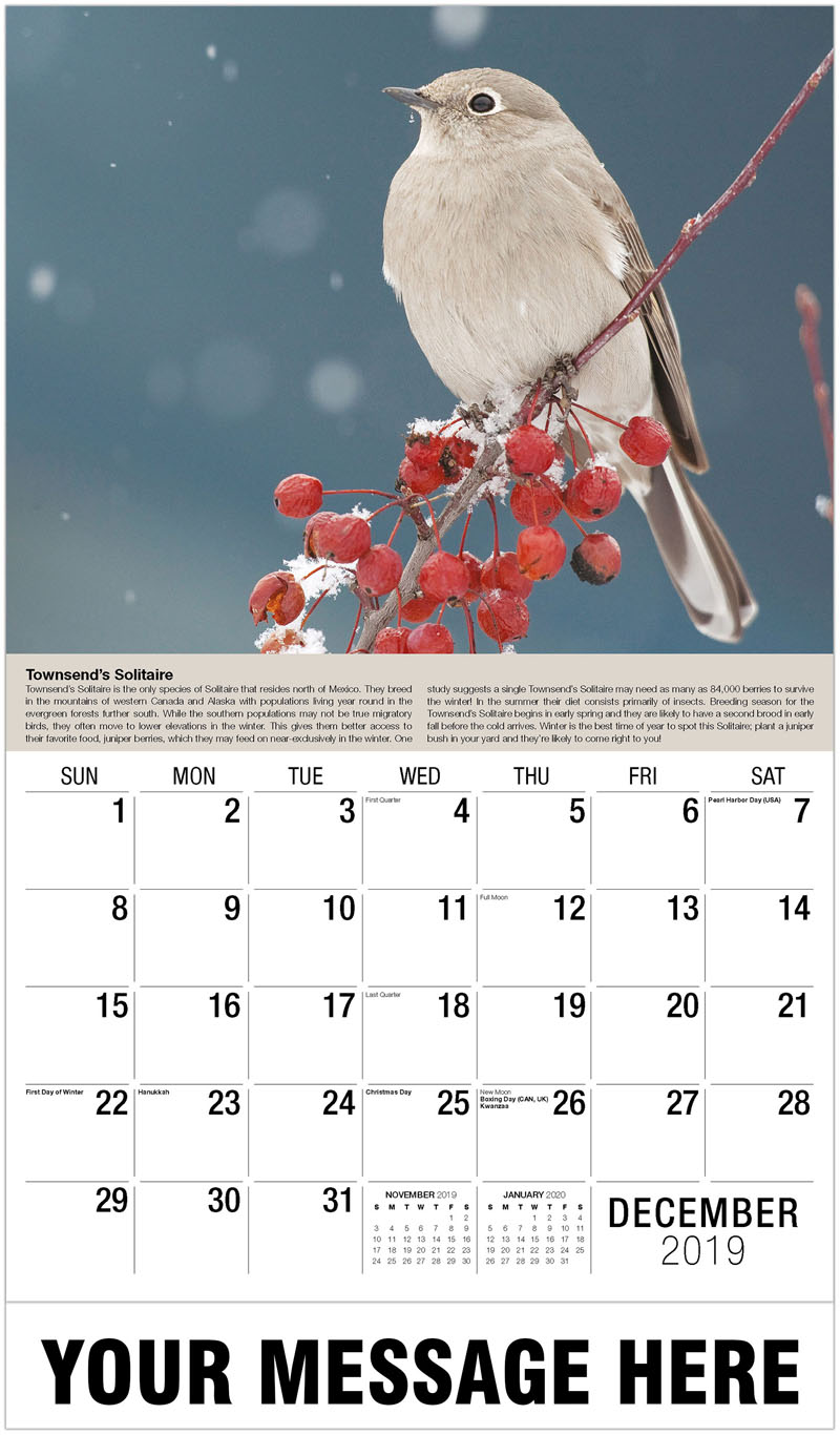 2020 Business Promotion Calendar | Garden Song Birds