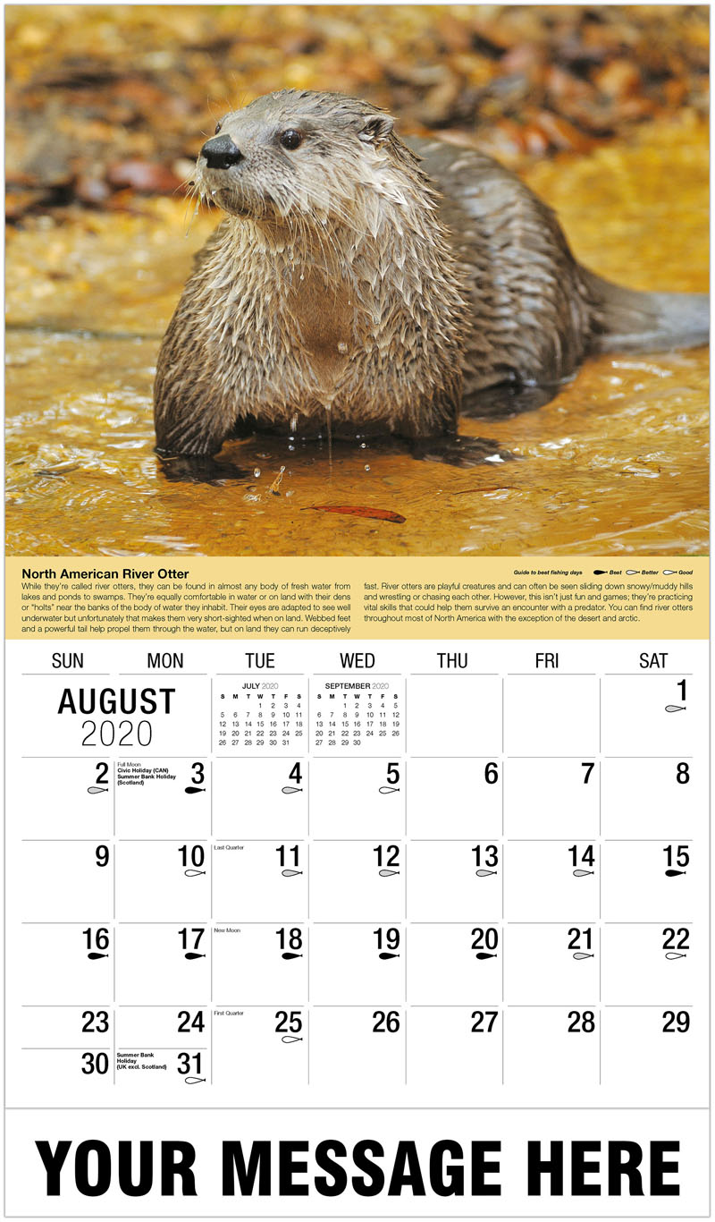 2020 promo wall calendar north american wildlife calendar month of august calendar 2020