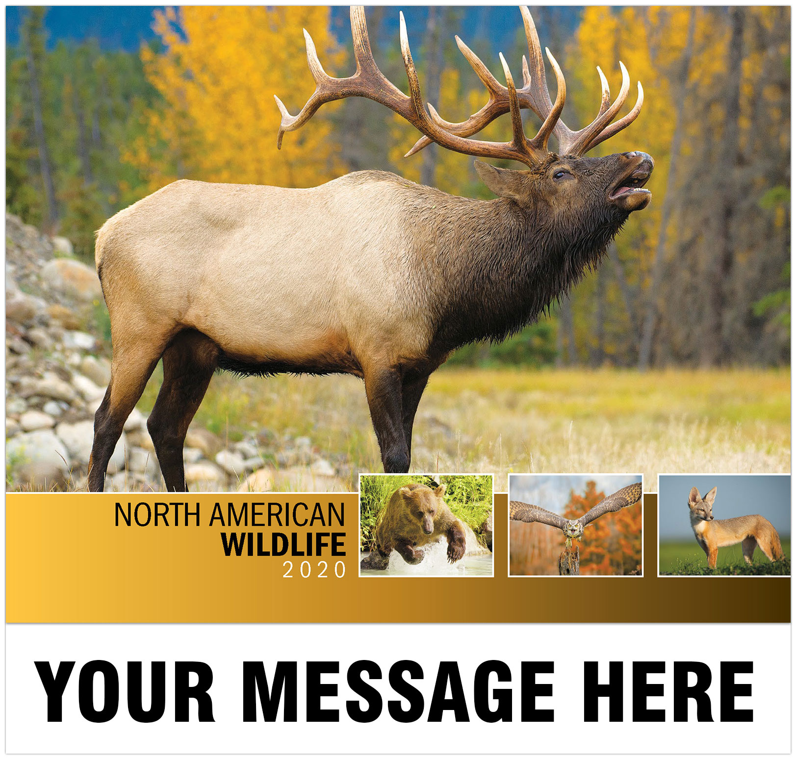 2020 Promo Wall Calendar North American Wildlife Calendar
