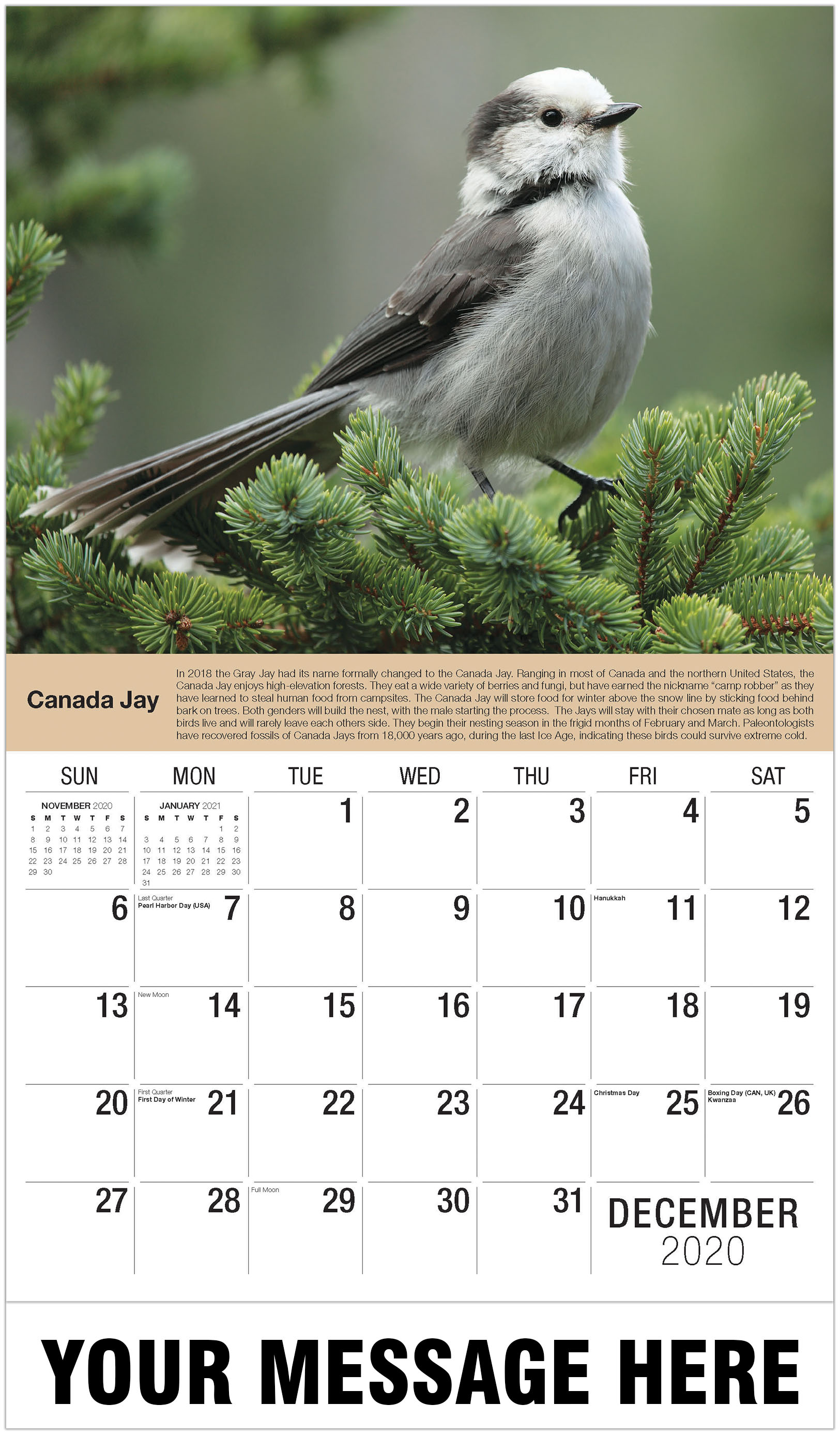 2021 Business Promotion Calendar | Garden Song Birds