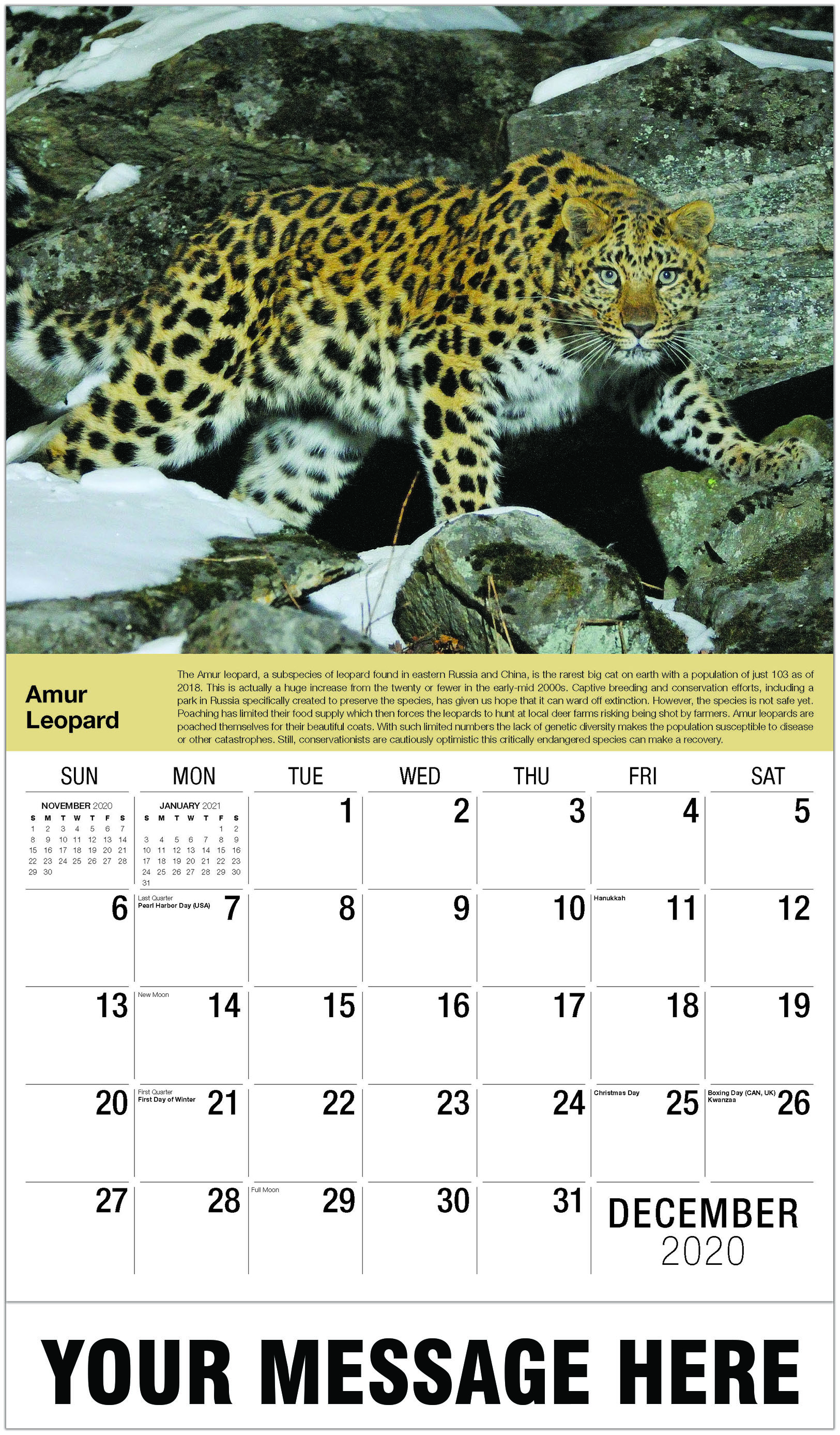 international wildlife business promo calendar 2021 pay increase request